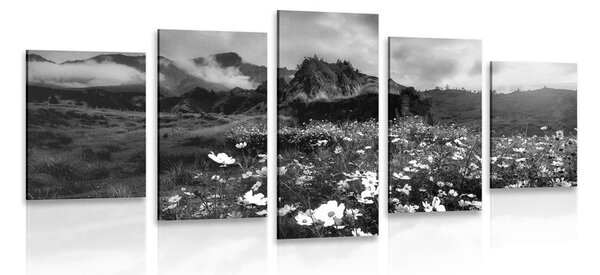 Tablou 5-piese pajiște de flori înfloritoare în design alb-negru
