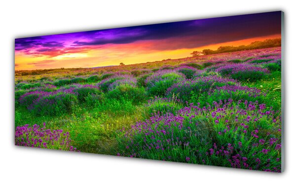 Tablouri acrilice Meadow Natura Roz Violet Galben Verde
