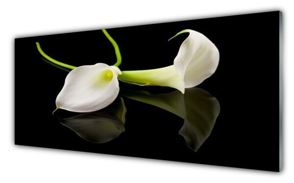 Tablou pe sticla Flori Floral Alb Negru