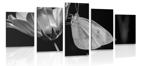 Tablou 5-piese fluture pe floare în design alb-negru