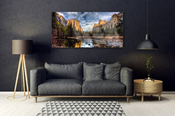Tablouri acrilice Mountain Lake Forest Natura Verde Gri