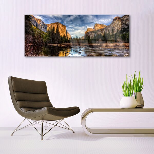 Tablouri acrilice Mountain Lake Forest Natura Verde Gri