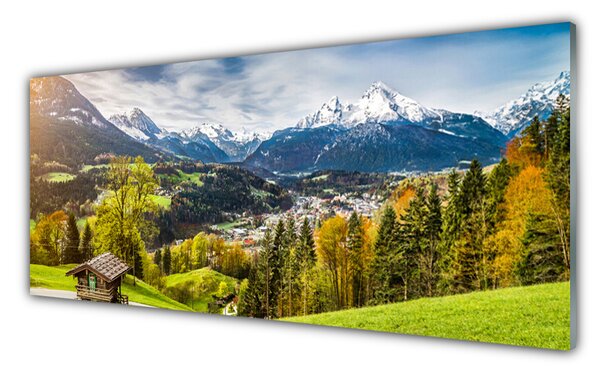 Tablouri acrilice Alpi Peisaj Verde Albastru