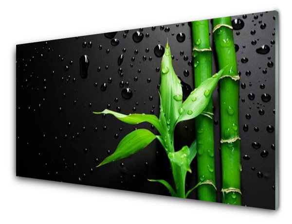 Panou sticla bucatarie Frunze de bambus verde florale negru