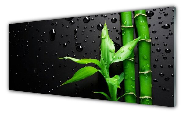 Panou sticla bucatarie Frunze de bambus verde florale negru