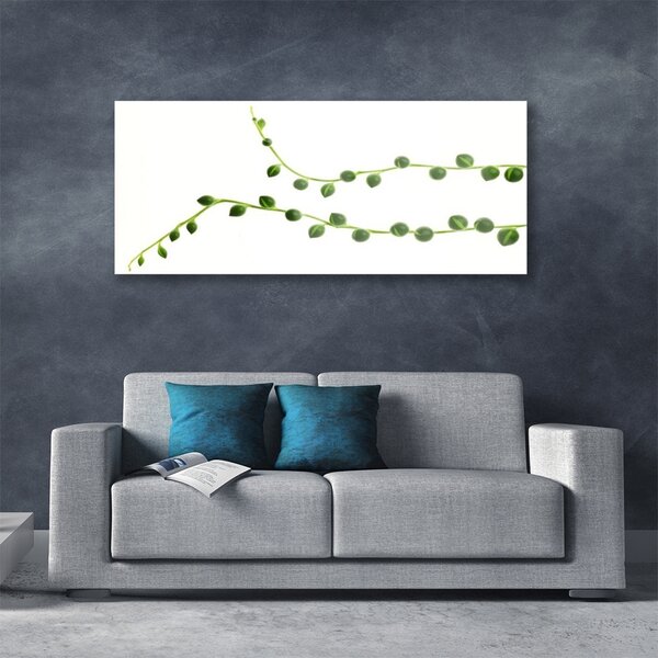 Tablou pe sticla Plante Ornamentale Floral Verde Alb