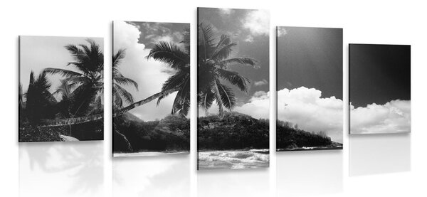 Tablou 5-piese plajă frumoasă pe insula Seychelles în design alb-negru