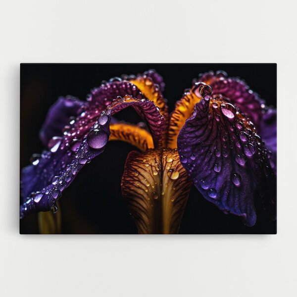 Tablou Canvas, 20x30cm, Dormitor si Living, Flori, Iris, Dark Iris After Rain