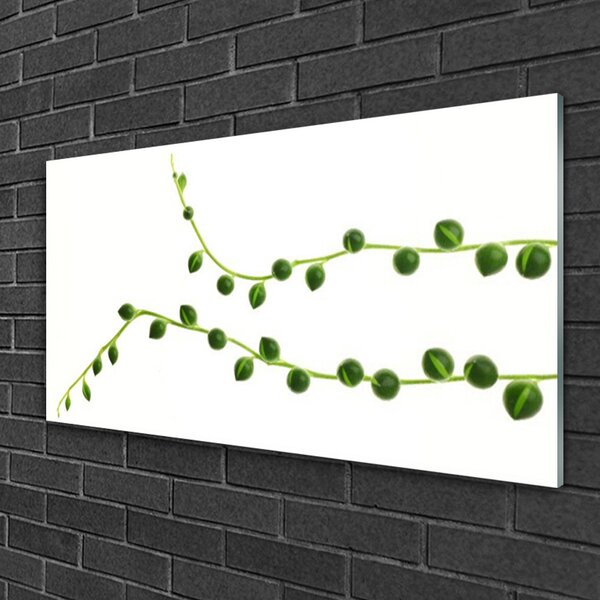 Tablou pe sticla Plante Ornamentale Floral Verde Alb