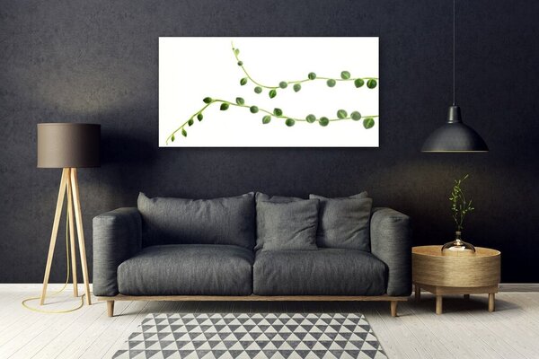Tablou pe sticla Plante Ornamentale Floral Verde Alb