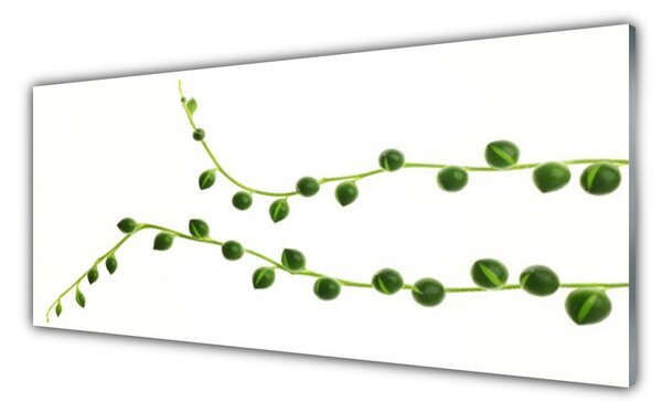 Tablou pe sticla Plante Ornamentale Floral Verde Alb