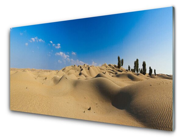 Panou sticla bucatarie Desert Peisaj Galben Albastru