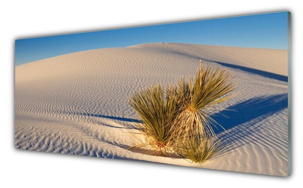 Panou sticla bucatarie Desert Peisaj Brun Verde