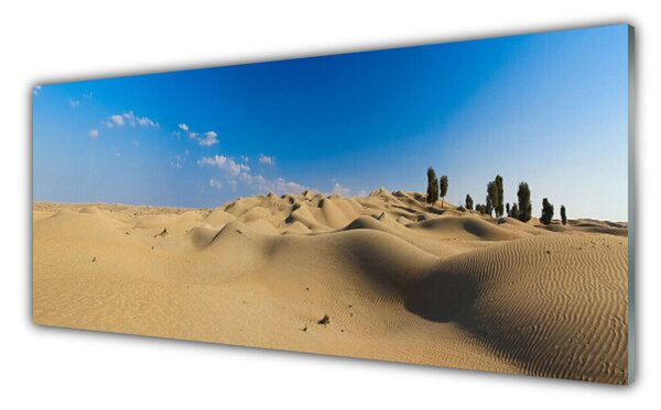 Panou sticla bucatarie Desert Peisaj Galben Albastru