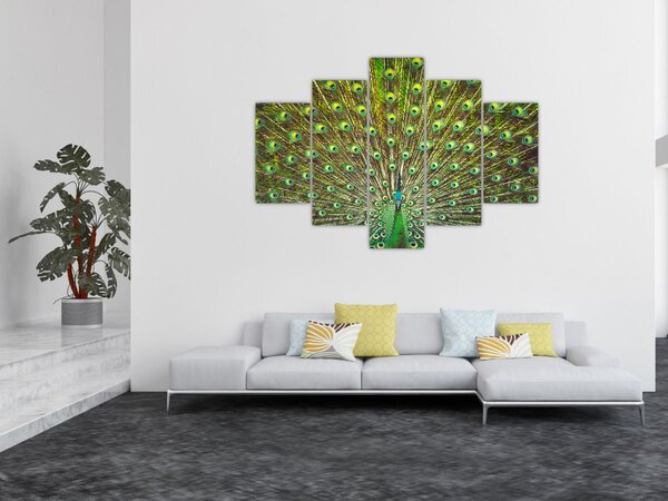 Tablou - Peacock (150x105 cm)