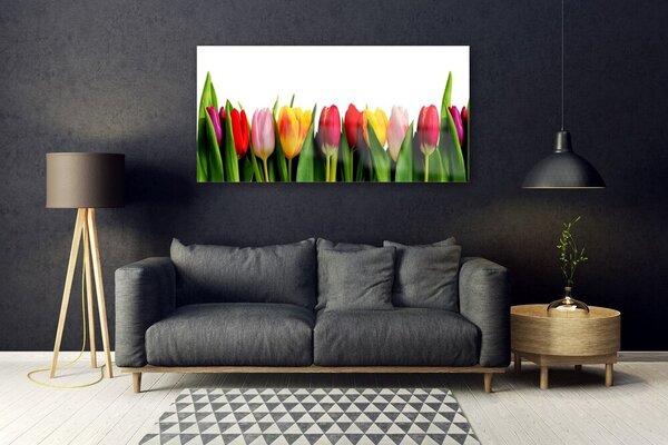 Tablou pe sticla Lalele Floral Roșu Roz Galben Verde