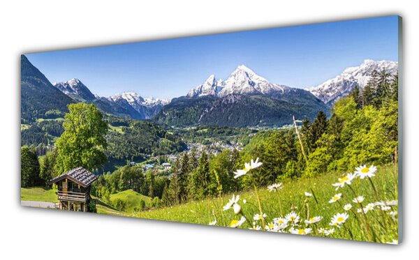 Tablouri acrilice Mountain Fields Natura Verde Gri Alb