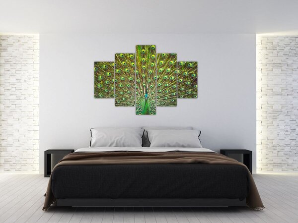 Tablou - Peacock (150x105 cm)