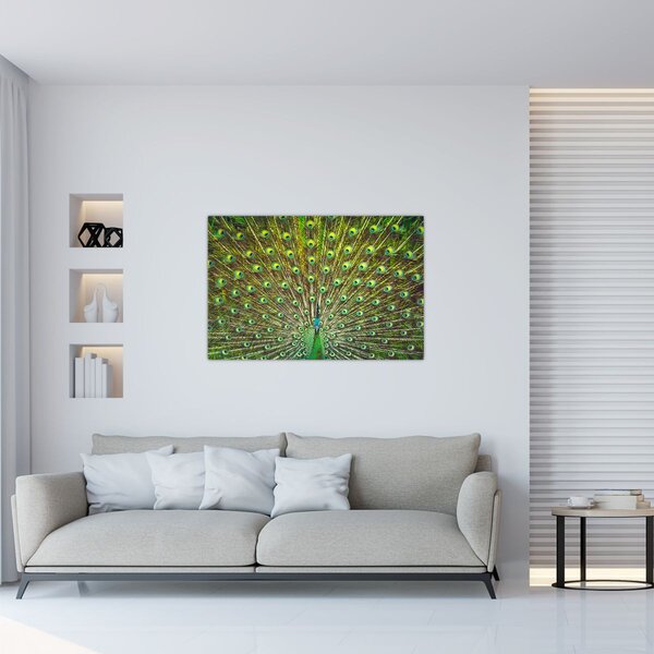 Tablou - Peacock (90x60 cm)