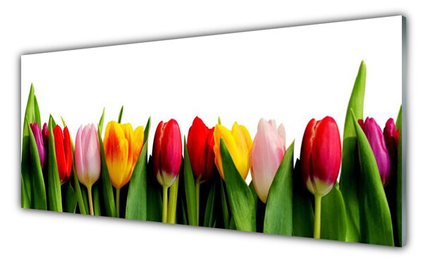 Tablou pe sticla Lalele Floral Roșu Roz Galben Verde