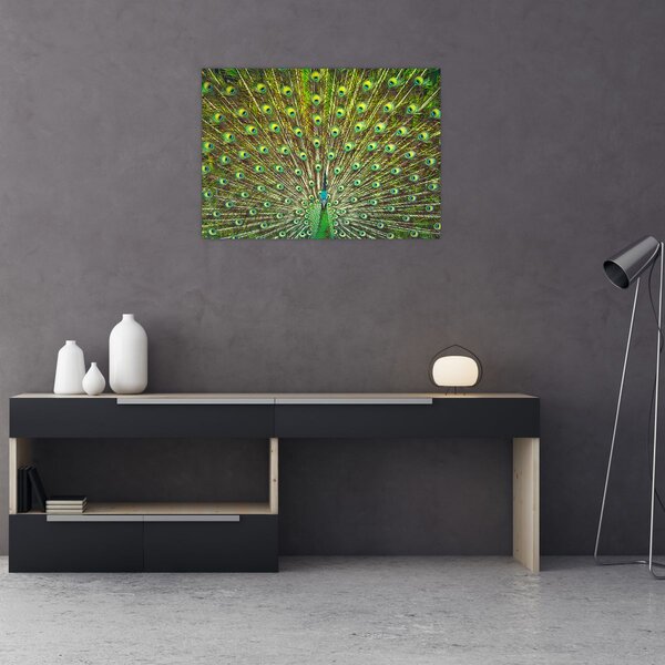 Tablou - Peacock (70x50 cm)