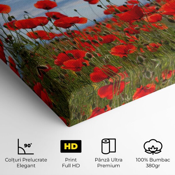 Tablou Canvas, 20x30cm, Dormitor si Living, Flori, Maci, Poppy Field