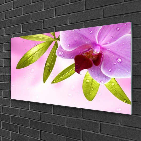 Tablou pe sticla Frunze florale flori roz verde