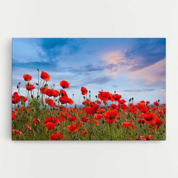 Tablou Canvas, 20x30cm, Dormitor si Living, Flori, Maci, Poppy Field
