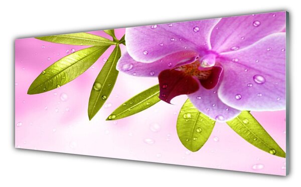 Tablou pe sticla Frunze florale flori roz verde