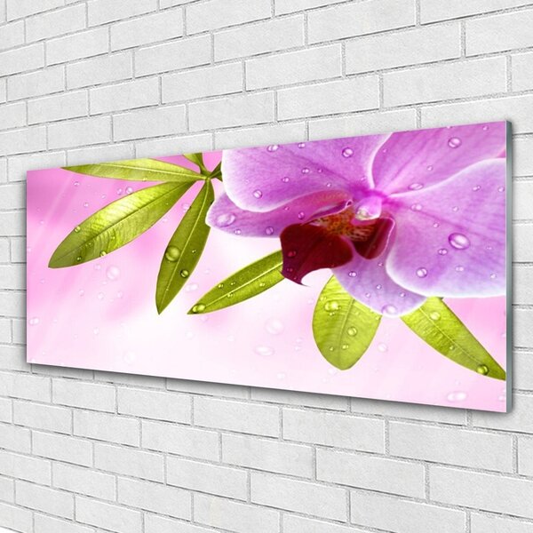 Tablou pe sticla Frunze florale flori roz verde