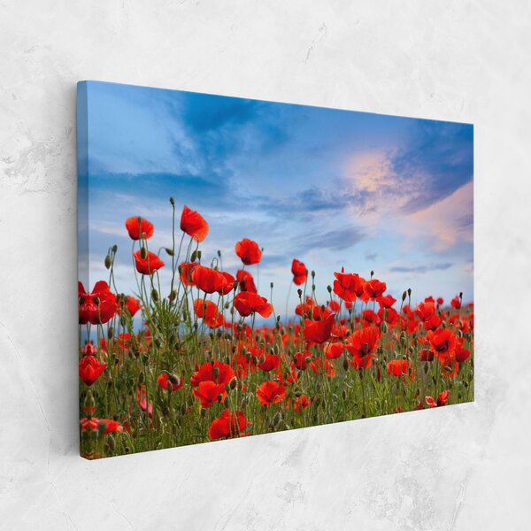 Tablou Canvas, 20x30cm, Dormitor si Living, Flori, Maci, Poppy Field