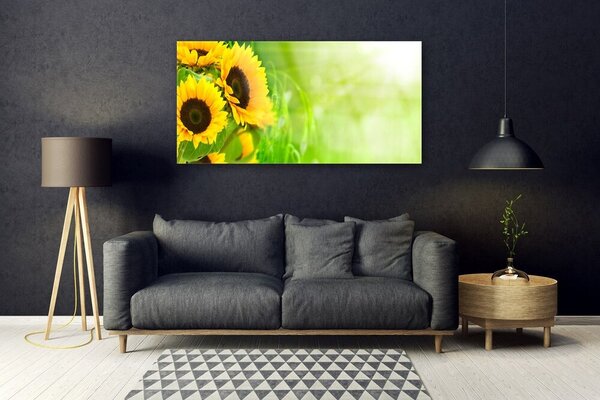 Tablou pe sticla Floarea soarelui Floral Brun Galben Verde
