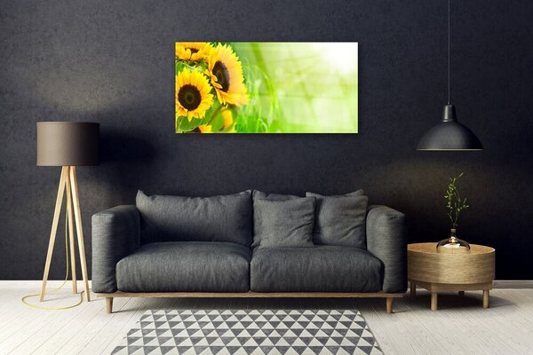 Tablou pe sticla Floarea soarelui Floral Brun Galben Verde