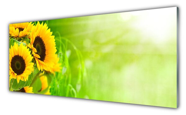 Tablou pe sticla Floarea soarelui Floral Brun Galben Verde