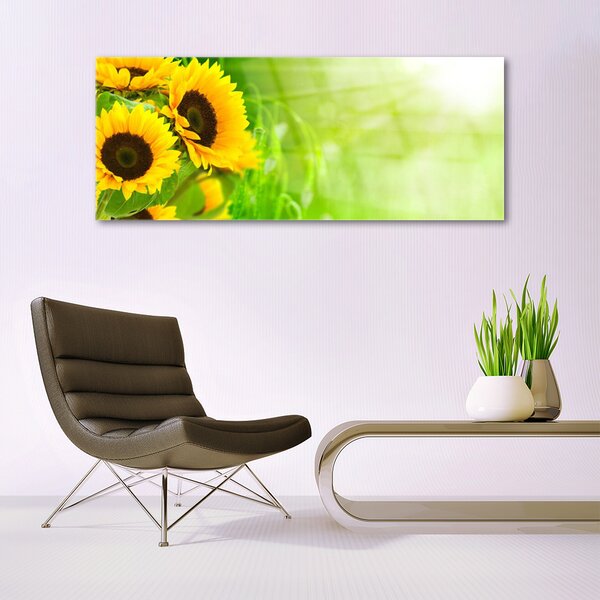 Tablou pe sticla Floarea soarelui Floral Brun Galben Verde