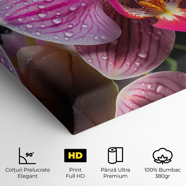 Tablou Canvas, 40x80cm, Dormitor si Living, Flori, Orhidee, Pretty Orchid After Rain