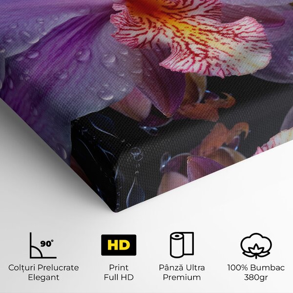 Tablou Canvas, 20x30cm, Dormitor si Living, Flori, Orhidee, Orchid In Rain