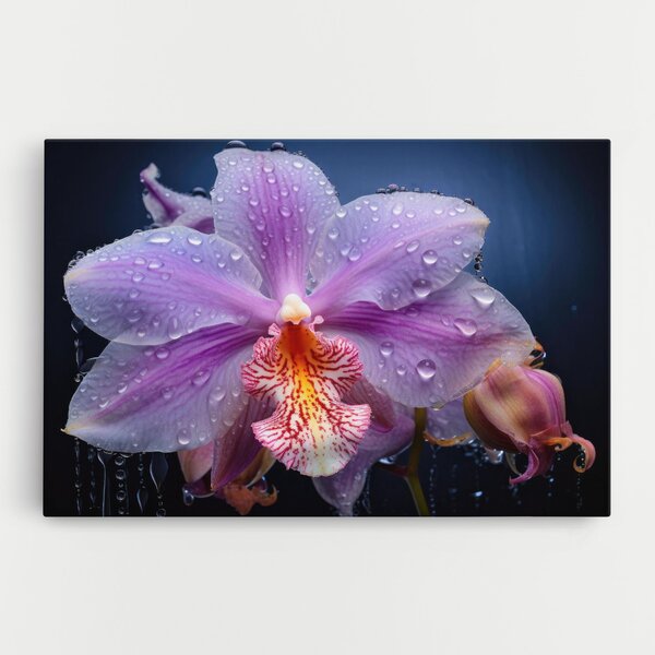 Tablou Canvas, 20x30cm, Dormitor si Living, Flori, Orhidee, Orchid In Rain