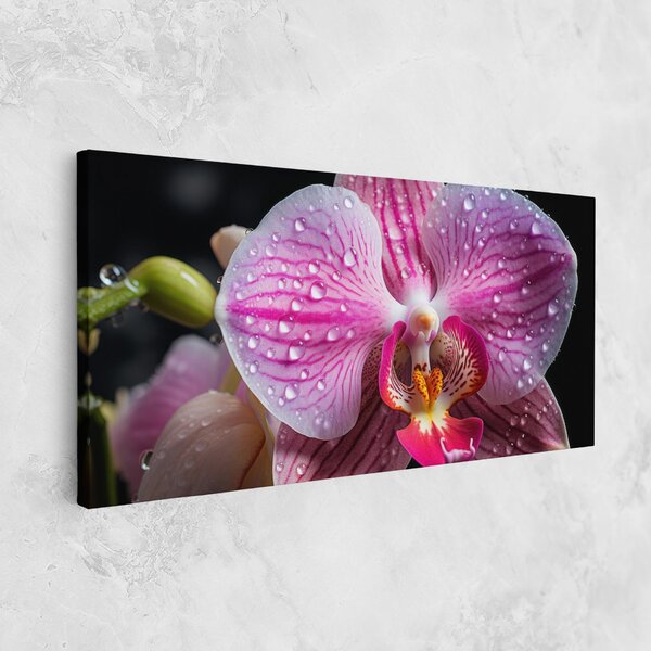 Tablou Canvas, 40x80cm, Dormitor si Living, Flori, Orhidee, Pretty Orchid After Rain