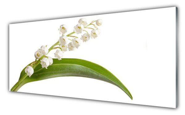 Panou sticla bucatarie Flori Floral Alb Verde