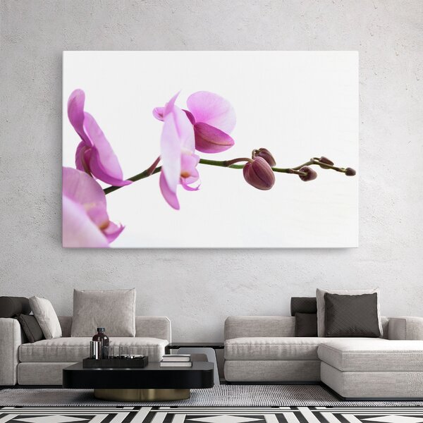 Tablou Canvas, 20x30cm, Dormitor si Living, Flori, Orhidee, Purple Orchid On White