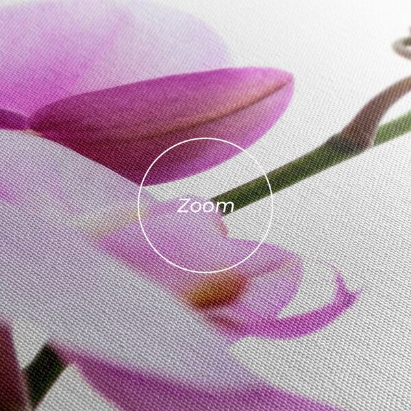 Tablou Canvas, 40x80cm, Dormitor si Living, Flori, Orhidee, Purple Orchid On White