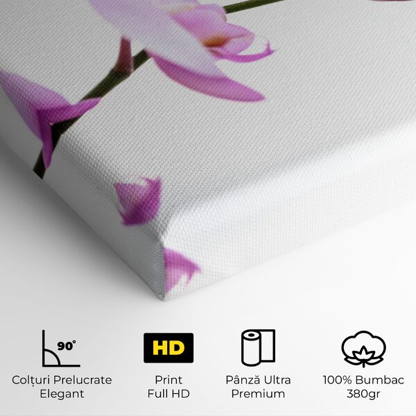 Tablou Canvas, 40x80cm, Dormitor si Living, Flori, Orhidee, Purple Orchid On White
