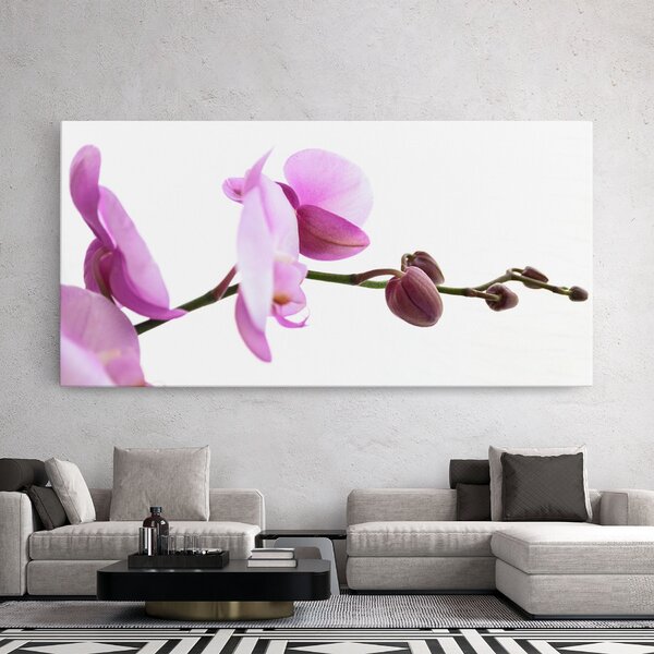 Tablou Canvas, 40x80cm, Dormitor si Living, Flori, Orhidee, Purple Orchid On White