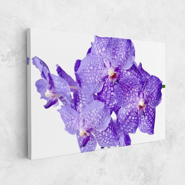 Tablou Canvas, 20x30cm, Dormitor si Living, Flori, Orhidee, Purple White Orchid