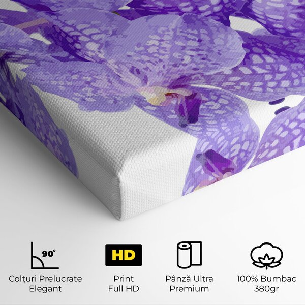 Tablou Canvas, 20x30cm, Dormitor si Living, Flori, Orhidee, Purple White Orchid