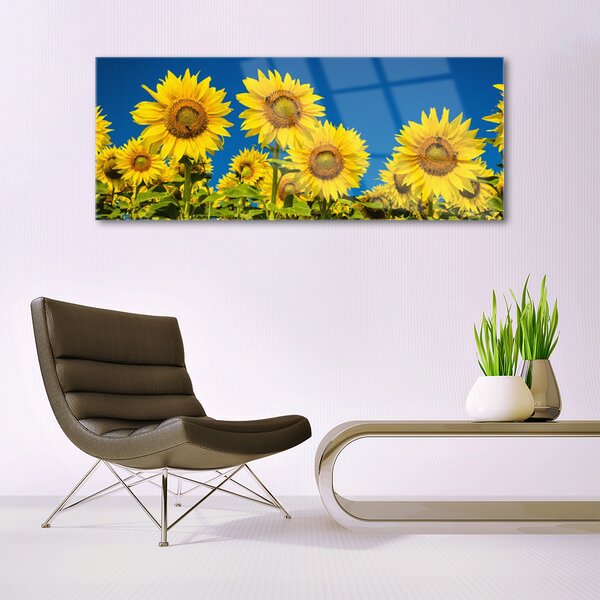 Tablou pe sticla Floarea soarelui Floral Galben Verde