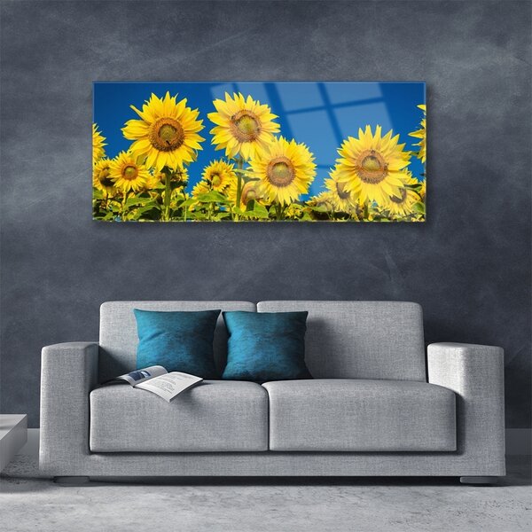 Tablou pe sticla Floarea soarelui Floral Galben Verde