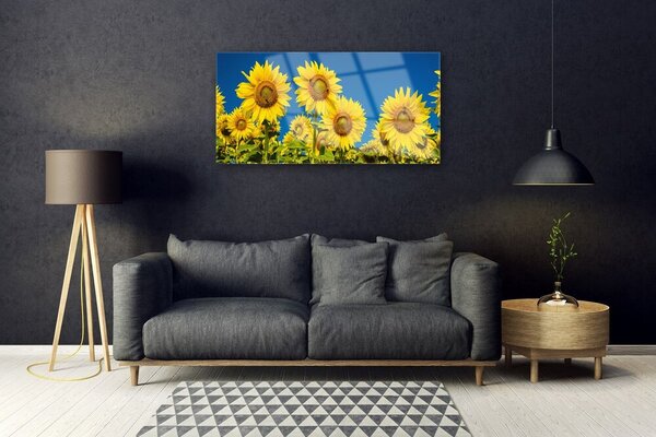 Tablou pe sticla Floarea soarelui Floral Galben Verde