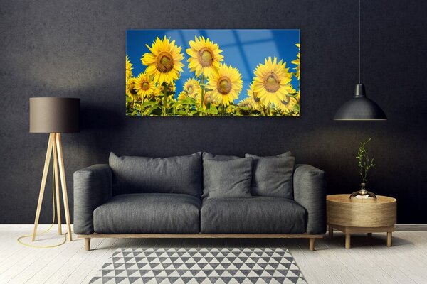 Tablou pe sticla Floarea soarelui Floral Galben Verde